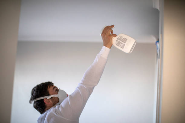 Best Emergency Mold Removal  in Wesley Chapel, NC