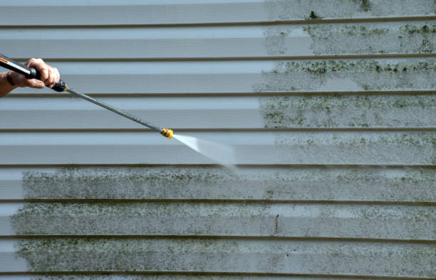 Home Mold Removal in Wesley Chapel, NC