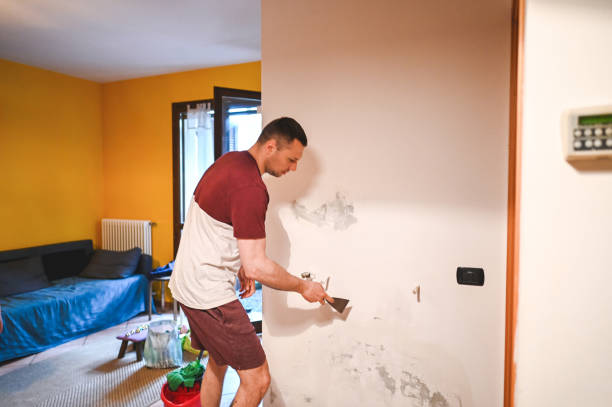 Best Water Damage Restoration  in Wesley Chapel, NC